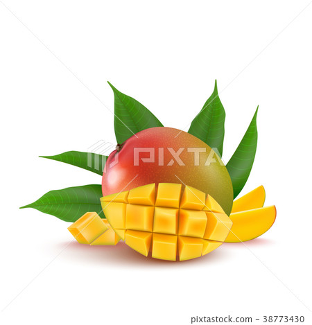 插图素材 mango fruit for fresh juice jam yogurt pulp.