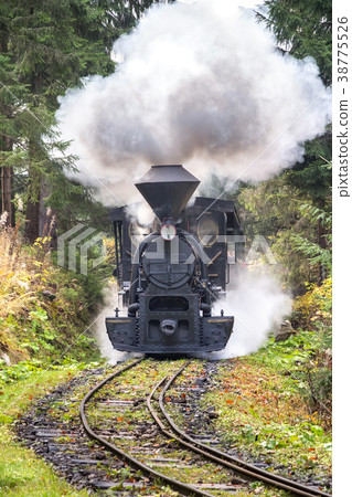 Steam locomotive in forest railways. 38775526