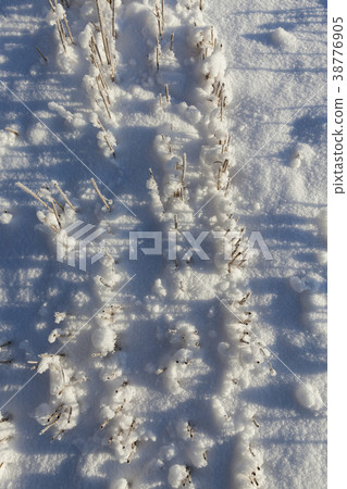 Snow covered field Snow covered field 38776905