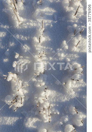 Snow covered field Snow covered field 38776906