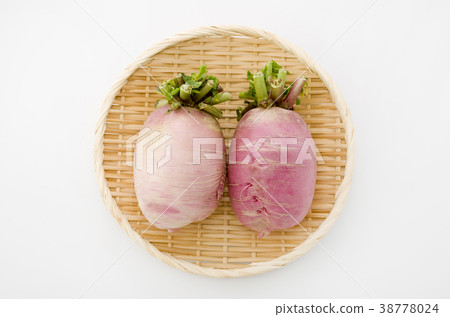 Red Crimson Radish Red Crimson Radish 38778024