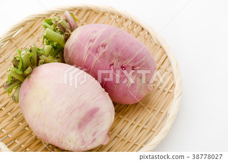 Red Crimson Radish Red Crimson Radish 38778027