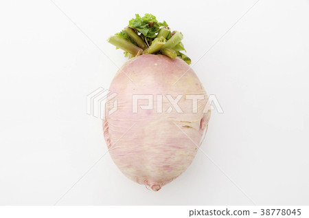 Red Crimson Radish Red Crimson Radish 38778045