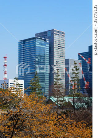 A flower and Marunouchi high-rise building town of Higashimanzin A flower and Marunouchi high-rise building town of Higashimanzin 38778135