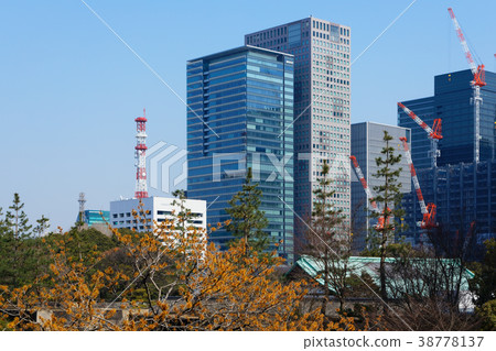 Higashimanzin的花和丸之內高層建築小鎮 38778137