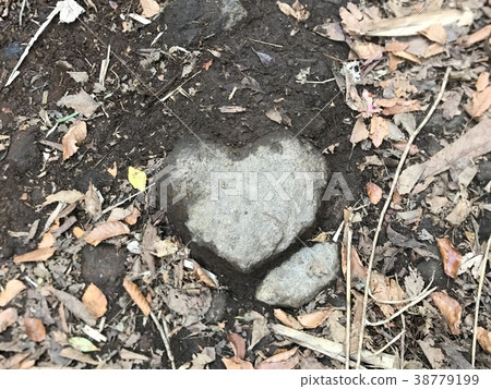Heart shaped stone Heart shaped stone 38779199
