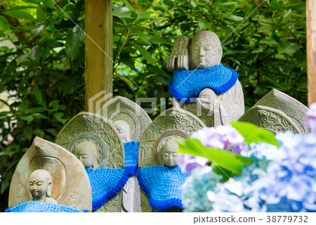 Hydrangea of Kamakura Aigetsuin 38779732