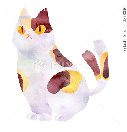Cats / Three-haired cat 38780303