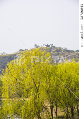 Sungdongbori，首爾森林，Seongdong-gu，首爾 38780643