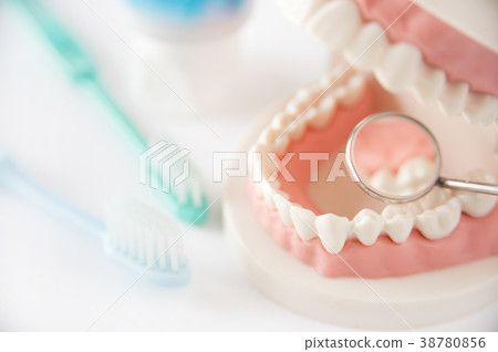 Dental Care Dental Care Dental Examination Image 38780856