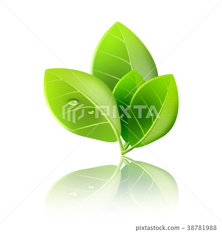 Ecology background Growth Eco Natural... - Stock Illustration [38781988] -  PIXTA