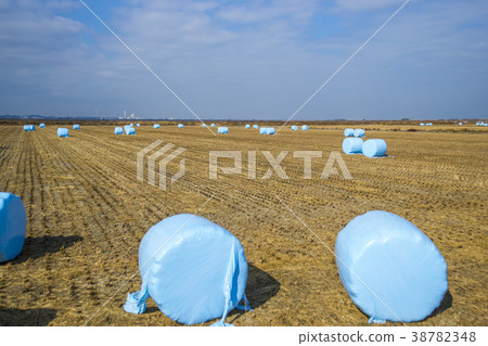 忠武市唐津市Seomun Seawall 38782348