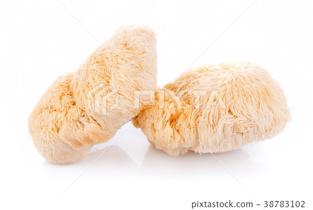 lion mane mushroom isolated on white background 38783102