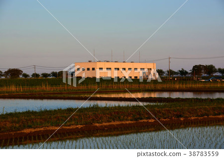 breaking Dawn breaking Dawn 38783559