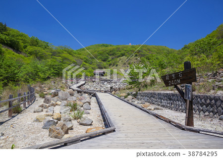 160,519 biocide stone 02 38784295