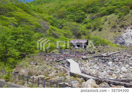 160,519 biocide stone 04 38784300