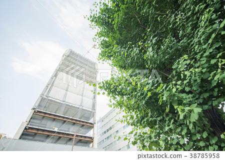 建設中的摩天大樓和綠色 建設中的摩天大樓和綠色 38785958
