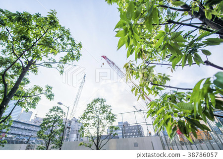 Construction site under construction and green of street trees Construction site under construction and green of street trees 38786057