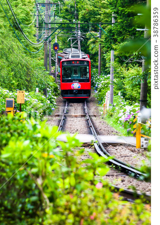 Near Hakone Tozan Railway and Hydrangea Odaira crossing Near Hakone Tozan Railway and Hydrangea Odaira crossing 38786359