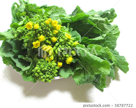 Spring vegetables rape Spring vegetables rape 38787722