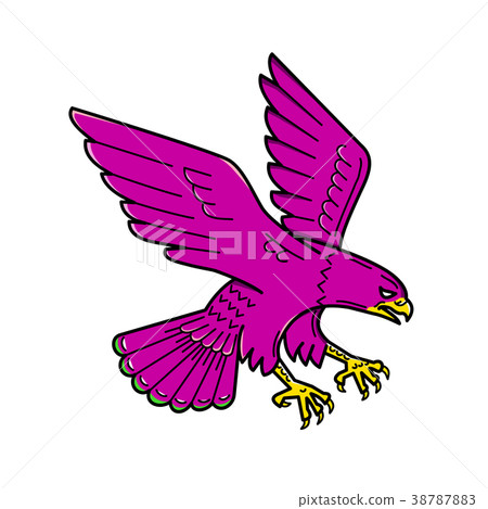 Peregrine Falcon Swoop Mono Line Peregrine Falcon Swoop Mono Line 38787883