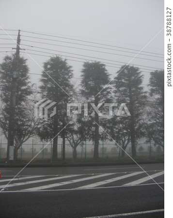 Morning mist Morning mist 38788127