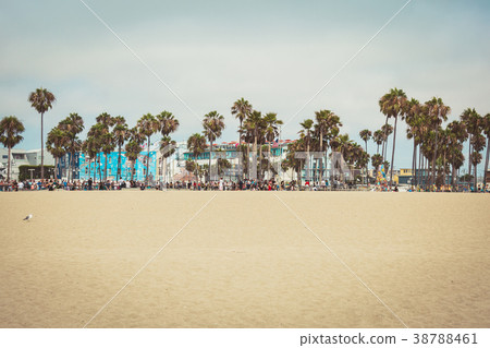 Venice Beach in Santa Monica Venice Beach in Santa Monica 38788461