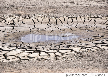 乾旱，仁川 38788541