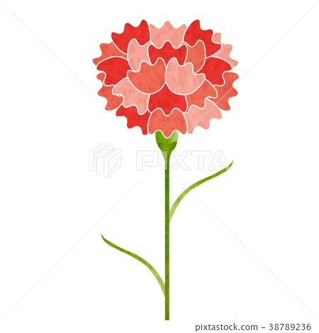 康乃馨母親節花圖標 康乃馨母親節花圖標 38789236