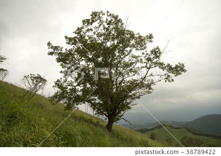 Myeongseongsan, Pocheon, Gyeonggi-do Myeongseongsan, Pocheon, Gyeonggi-do 38789422