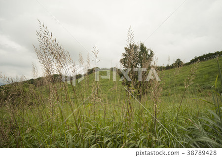 Myeongseongsan, Pocheon, Gyeonggi-do Myeongseongsan, Pocheon, Gyeonggi-do 38789428