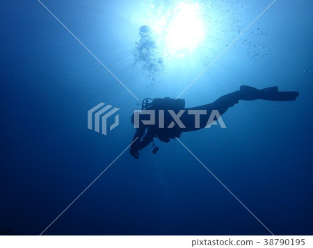 Diver 38790195