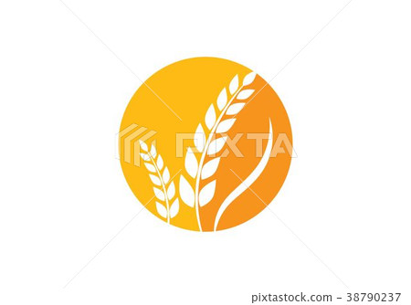 wheat Logo Template wheat Logo Template 38790237