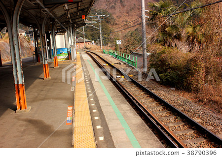 Platform of Ome Line Gyoen Station (2) 38790396