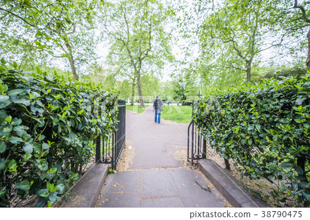 綠色公園入口 38790475