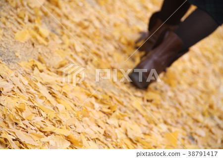 黃色的地毯 黃色的地毯 38791417