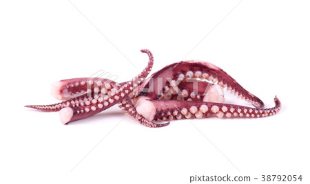 Tentacles of squid isolated on white background 38792054