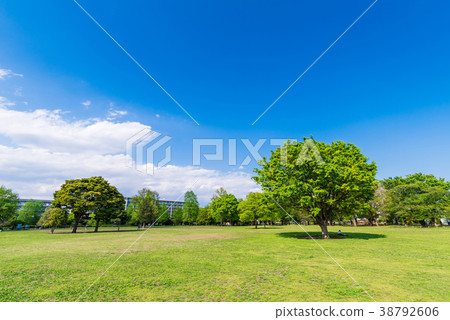 武藏國分寺公園 38792606