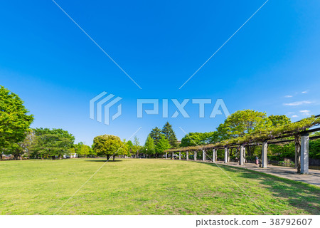 武藏國分寺公園 38792607