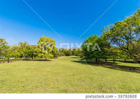 武藏國分寺公園 38792608