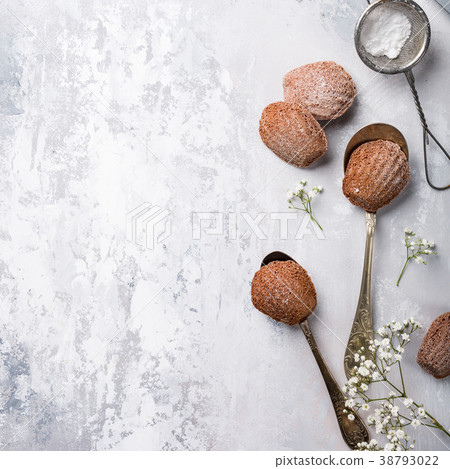 Homemade chocolate cookies Madeleine Homemade chocolate cookies Madeleine 38793022
