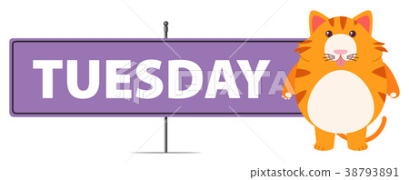 Tuesday sign with cute cat Tuesday sign with cute cat 38793891