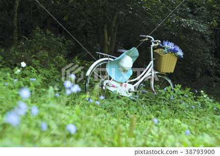 Bicycle, garden, park, grass, tree, home, design, pattern, life Bicycle, garden, park, grass, tree, home, design, pattern, life 38793900