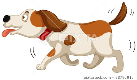 Cute dog running on white background Cute dog running on white background 38793913