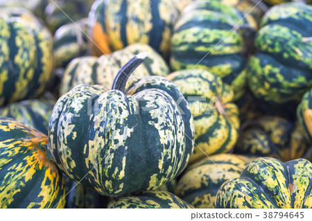 Bunch of green pumpkins for sale Bunch of green pumpkins for sale 38794645