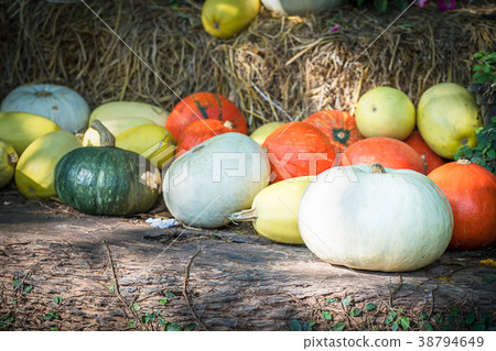 Bunch of pumpkins for sale 38794649