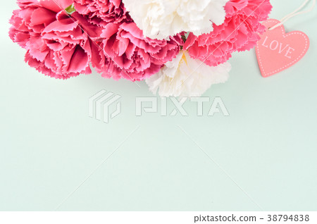 Mother's Day Carnation Mother's Day Carnation Indigo Mother's Day Carnation Mother's Day Carnation Indigo 38794838