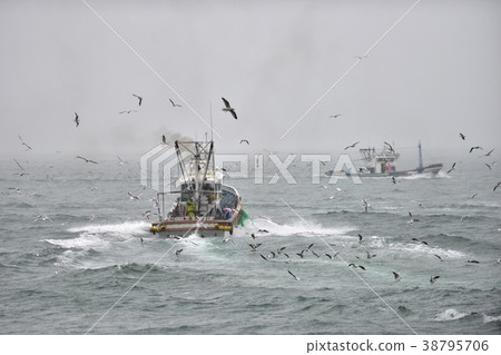 Ikanago fishing on a rainy day Awajishima Iwaya 38795706