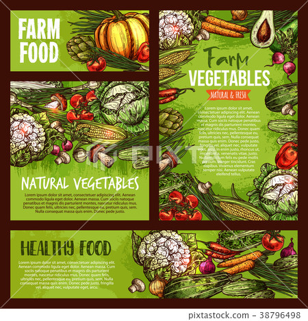Vector vegetables veggie farm food sketch posters - Stock Illustration ...