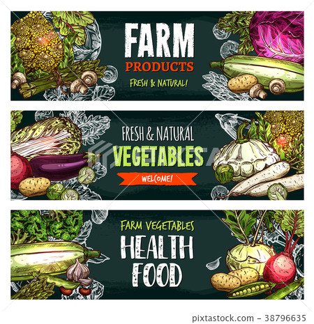 Vector fresh organic vegetables sketch banners Vector fresh organic vegetables sketch banners 38796635
